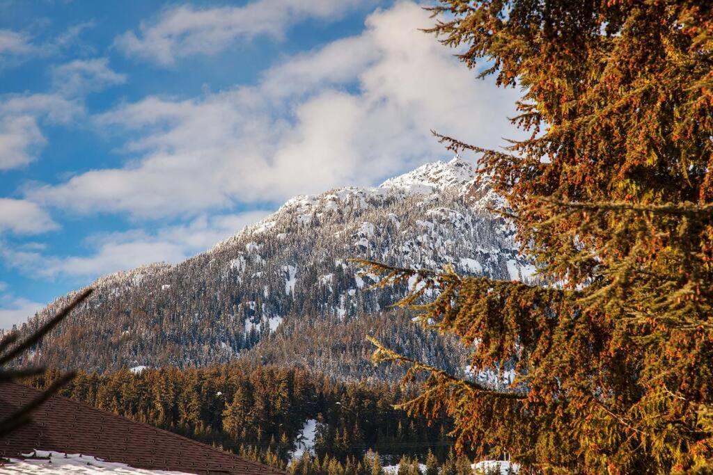 Updated Whistler Creekside Studio With Free Parking Exterior photo